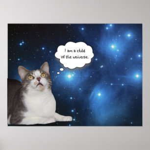 Poster Funny Cat Star Gazer