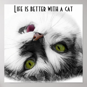 Poster Funny Chat classique