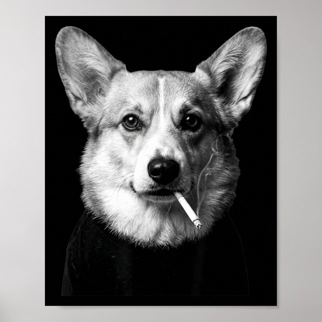 Poster Funny corgi dog smoking meme smoking dog cigarette (Devant)