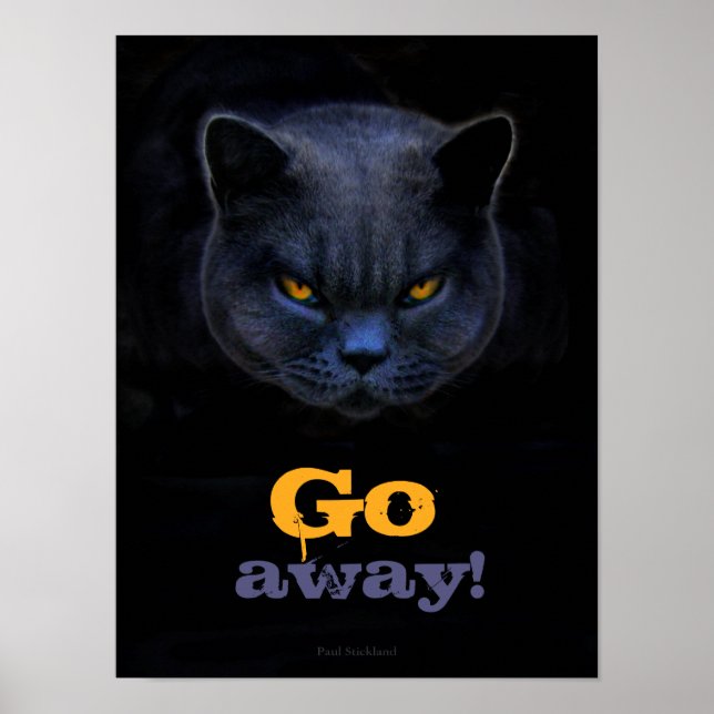 Poster Funny Cross Cat dit Go Away (Devant)