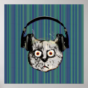 Poster funny DJ cat