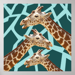 Poster Funny Giraffe Imprimer Turquoise bleu sauvage Moti