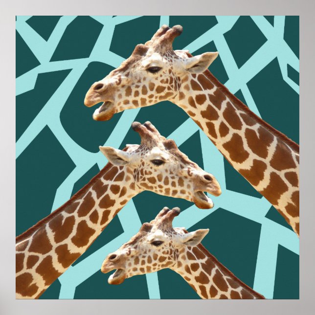 Poster Funny Giraffe Imprimer Turquoise bleu sauvage Moti (Devant)