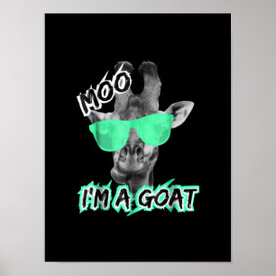 Poster Funny Giraffe Moo Dans le zoo de Goat