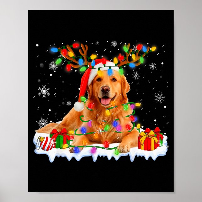 Poster Funny Golden Retriever Christmas Santa Hat Reindee (Devant)