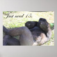 Funny Gorilla