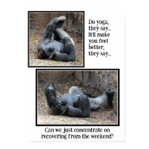 Funny Gorilla, Trop d'affiches de la fête du week-