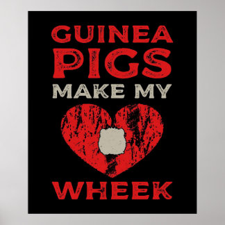 Poster Funny Guinée