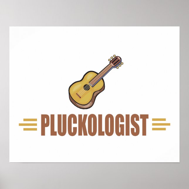 Poster Funny Guitare (Devant)