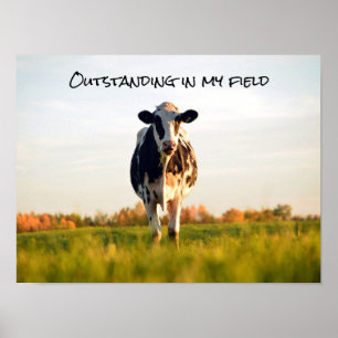 Poster Funny Heifer Extrait dans mon champ