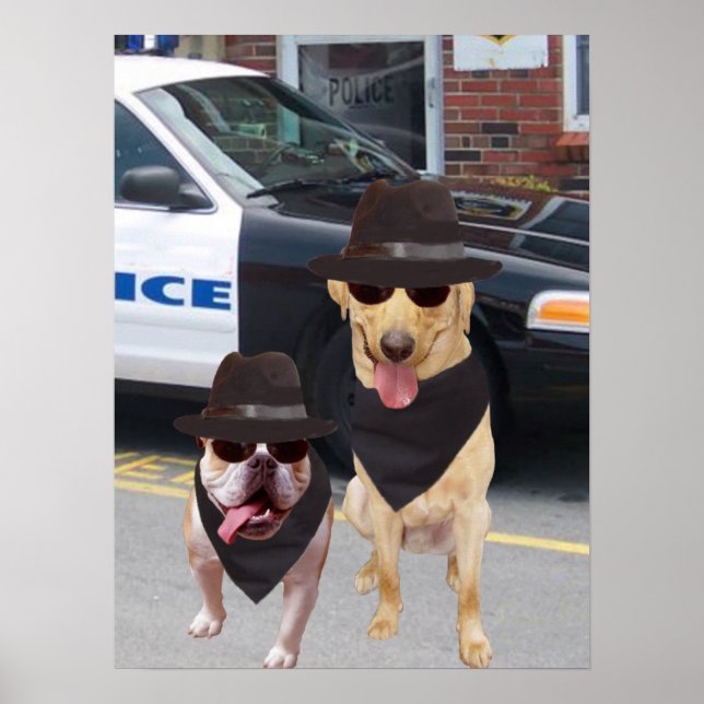 Poster Funny Lab et Bull Dog (Devant)
