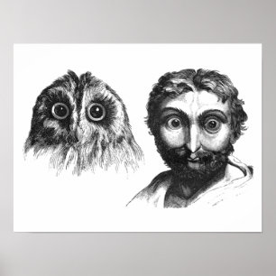 Poster Funny Likeness between Man and Owl Vintage Cartoon