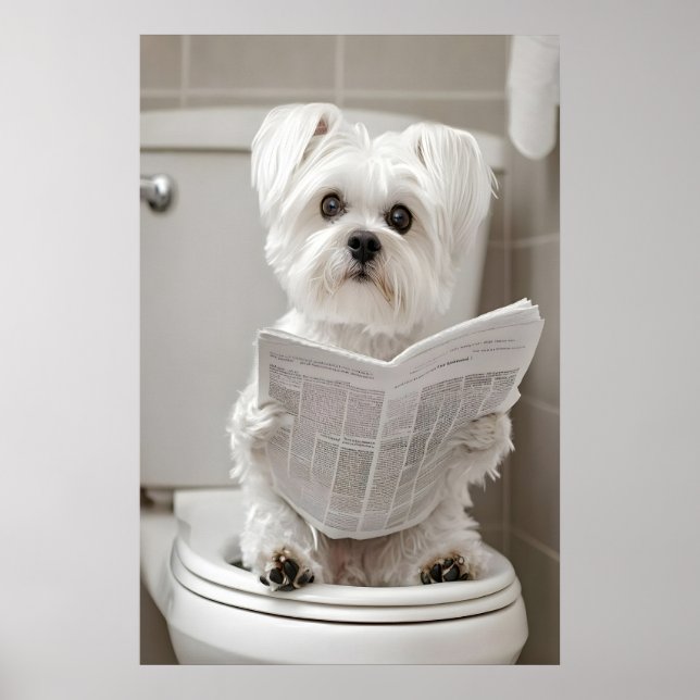 Poster Funny Maltese Dog Bathroom Print, Newspaper Art (Devant)