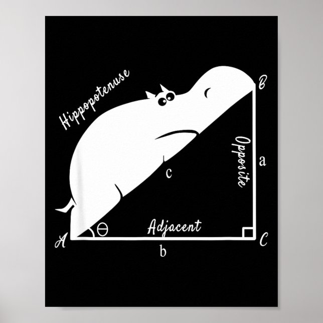 Poster Funny Math Teacher,funny Hiptenuse,geometry Teache (Devant)