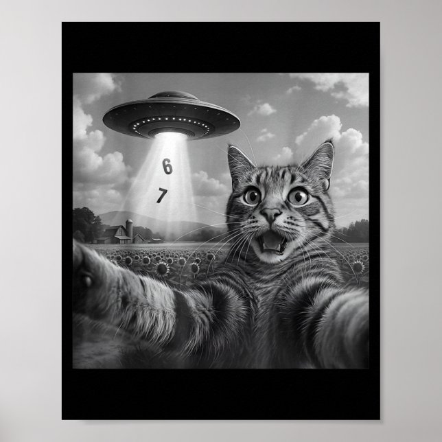 Poster Funny Meme Cat Selfie Six Seven Retro Cat 67 Anima (Devant)
