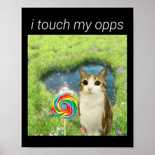 Poster Funny Meowl Meme, Cat Owl Meme Brainrot Gen Alpha  (Devant)