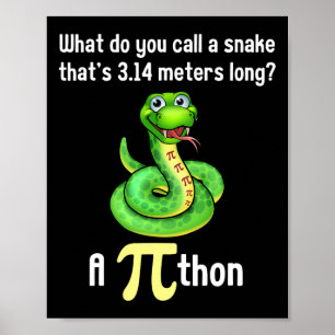 Poster Funny Pi Day Puns Pithon Mage Professeur plaisante