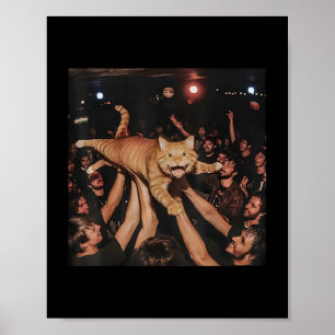 Poster Funny Rock Show Chat Mème mignonne Tabby Kitten Fo