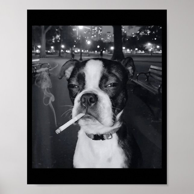 Poster Funny Smoking Dog Meme Cigarette Gen Z Meme Dog Lo (Devant)