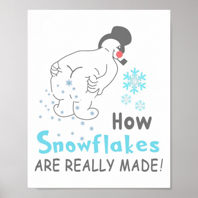 Poster Funny Snow How Snowflakes Are Really Made  (Devant)