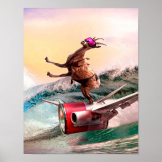 Poster Funny Surfing