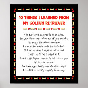 Poster Funny Things I Learned From My Golden Retriever