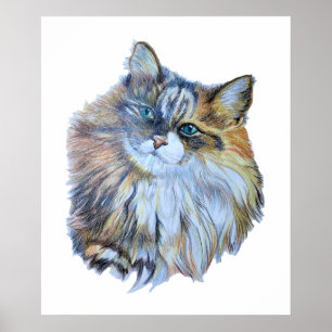 Poster Furry Coloré Forêt norvégienne Chat Art réaliste