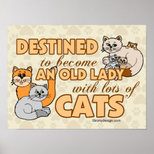 Poster Futur Crazy Chat Lady Drôle Dire Design