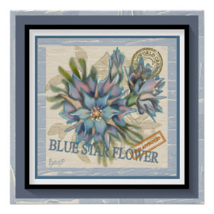 Poster G Bureau de création Fleur bleue