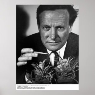 Poster G. Ledyard Stebbins, UC Davis, 1966