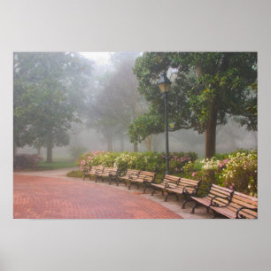 Poster GA Savannah, Azaleas, le long du trottoir en briqu