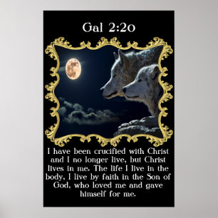 Poster Gal 2:20 Loups regardant la pleine lune.