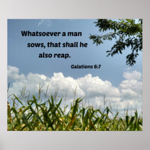 Poster Galations 6:7 Tout ce qu'un homme soweth...