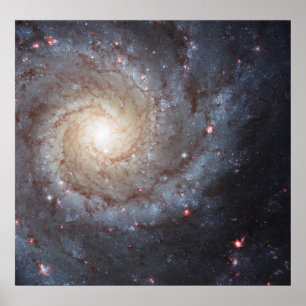 Poster Galaxie spirale M74