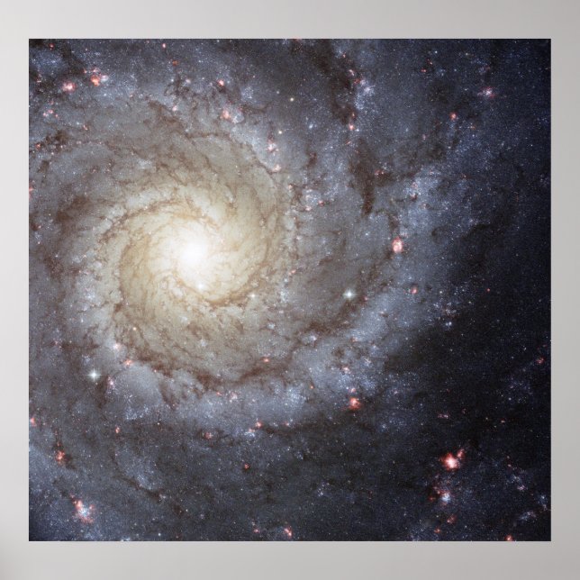 Poster Galaxie spirale M74 (Devant)