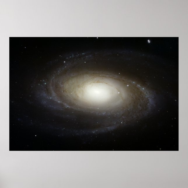 Poster Galaxie spirale M81 (Devant)