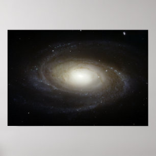 Poster Galaxie spirale M81