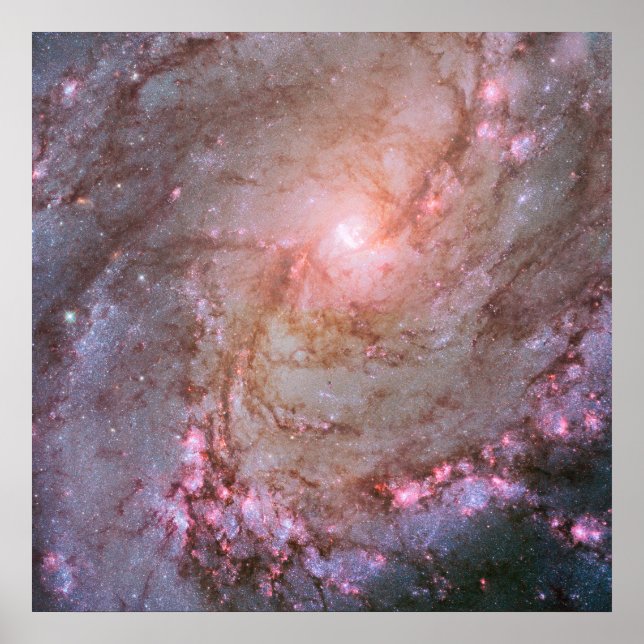Poster Galaxie Spirale M83, Ablaze Avec Formation Star. (Devant)