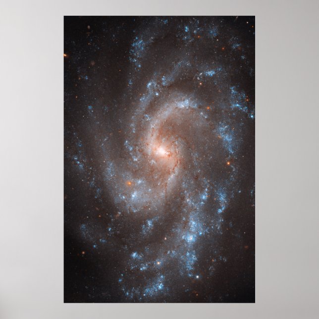 Poster Galaxie Spirale Ngc 5584 (Devant)