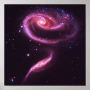 Poster Galaxies roses