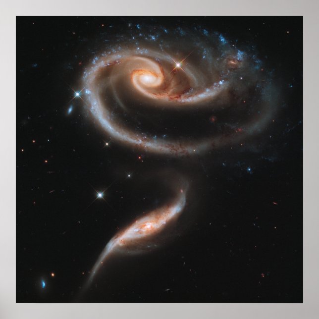 Poster Galaxies spirales roses (Devant)