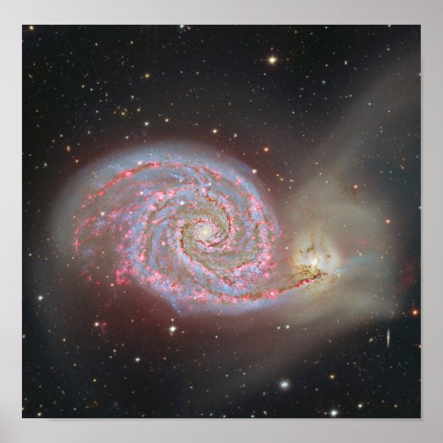Poster Galaxy M51 (Devant)