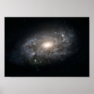 Poster Galaxy NGC 3949: Une galaxie semblable à la voie l