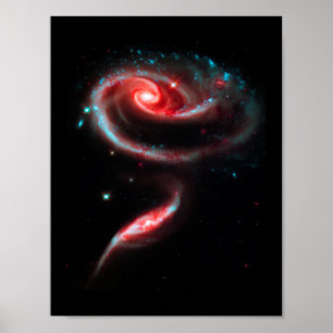 Poster Galaxy Rose Rouge