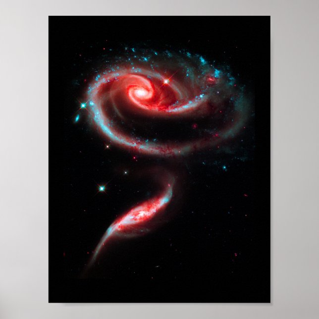 Poster Galaxy Rose Rouge (Devant)