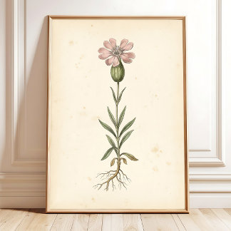 Poster Galerie d'impression murale botanique vintage