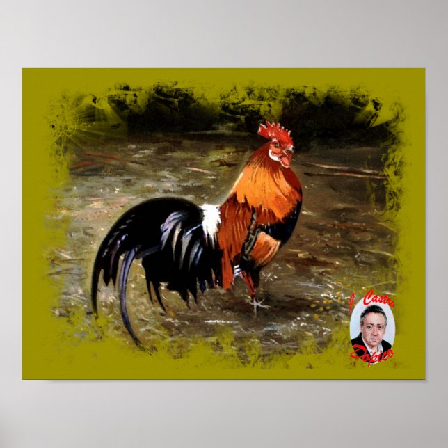 Poster Gallo/Galo/Rooster (Devant)