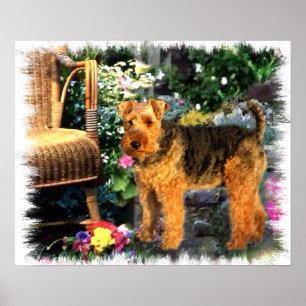 Poster Gallois Terrier Art Print