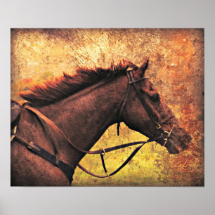 Poster Gallop Away