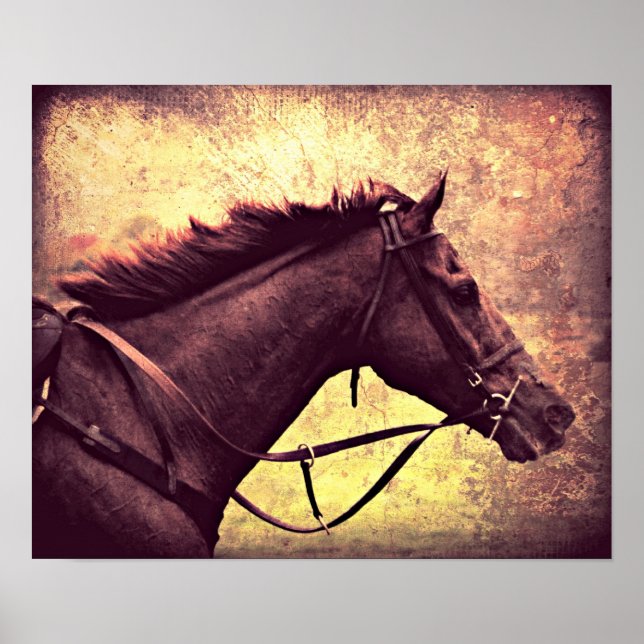 Poster Gallop Grunge (Devant)